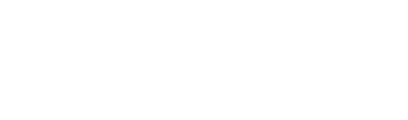 AIMVS-logo-white